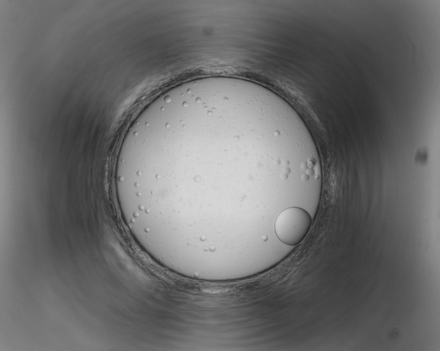 X0000116800686200912181118