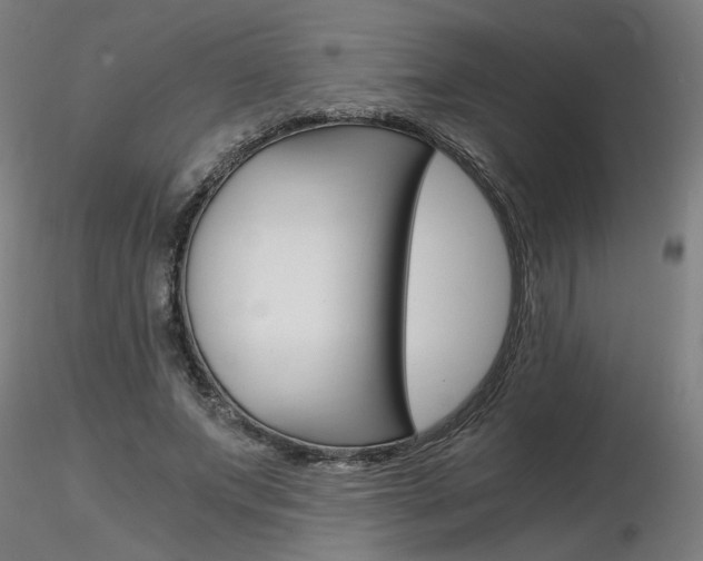 X0000116800687200912181118