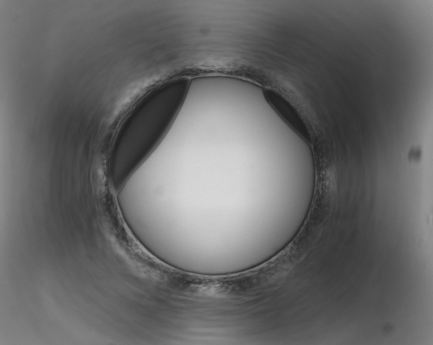 X0000116800688200912181118