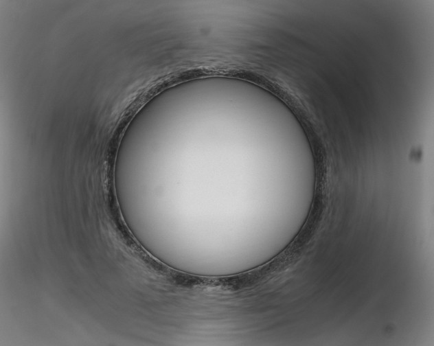 X0000116800689200912181118