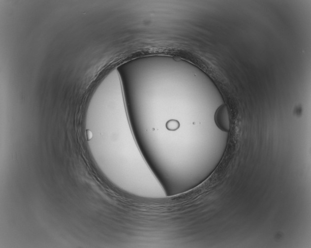 X0000116800691200912181118