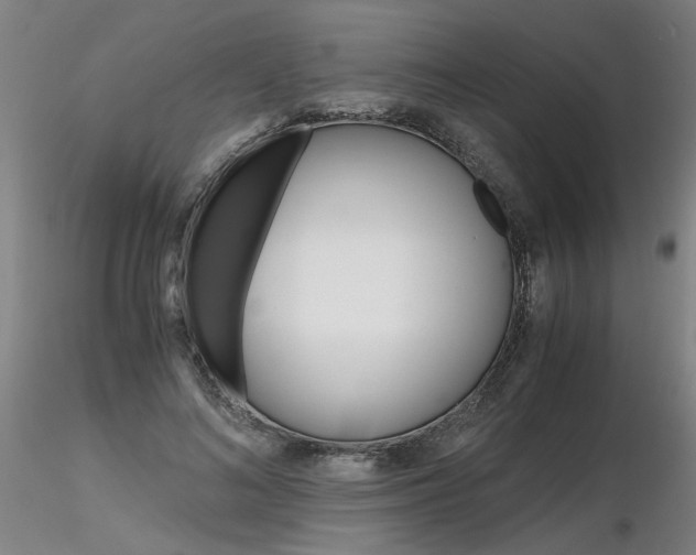 X0000116800692200912181118