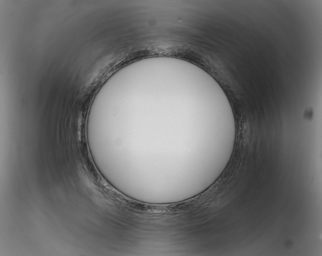 X0000116800694200912181118