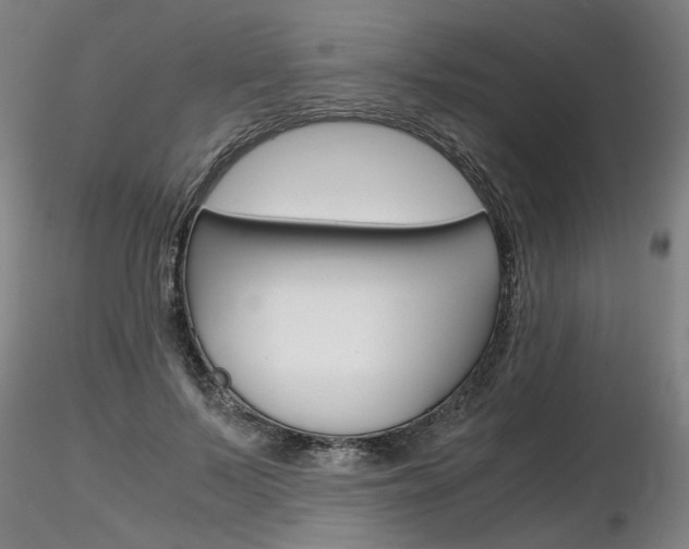 X0000116800695200912181118
