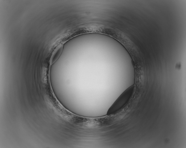X0000116800696200912181118
