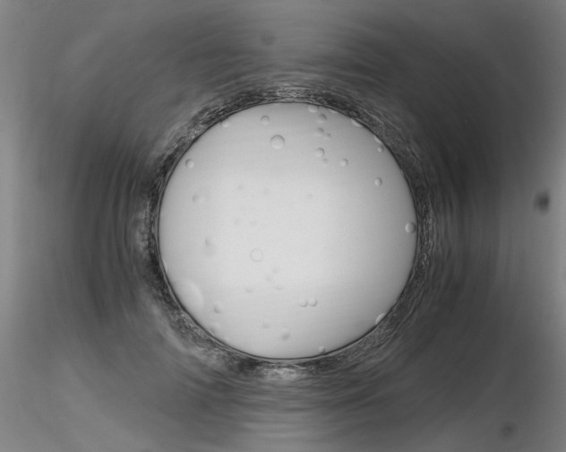 X0000116800698200912181118