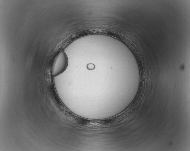 X0000116800699200912181118