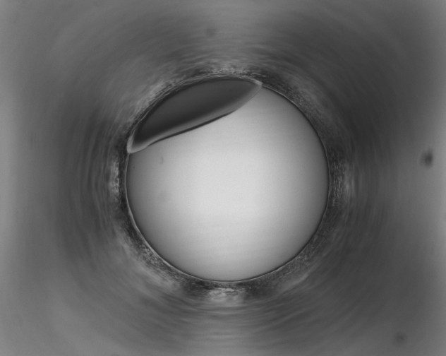 X0000116800700200912181118