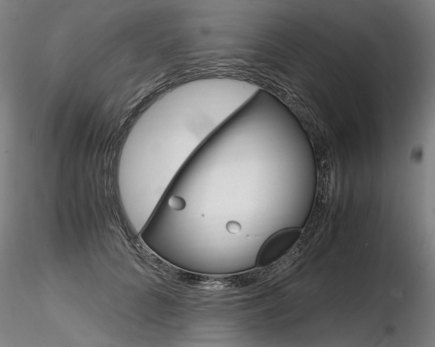 X0000116800704200912181118
