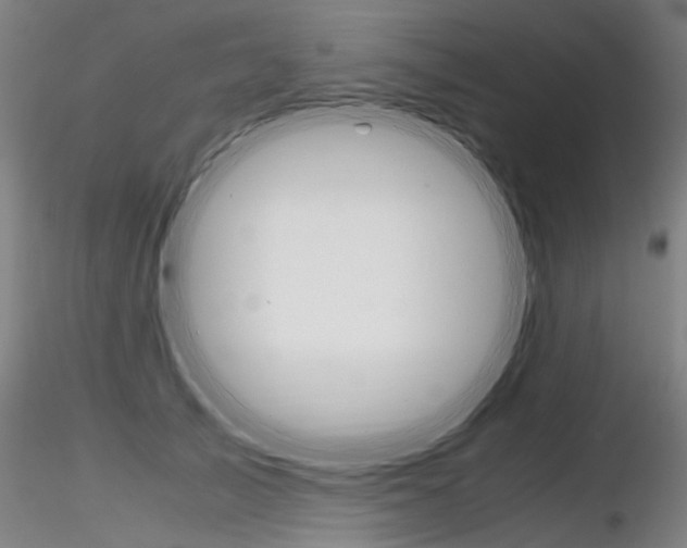X0000116800705200912181118