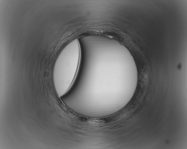 X0000116800707200912181118