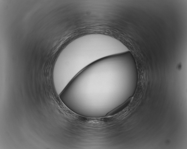 X0000116800708200912181118