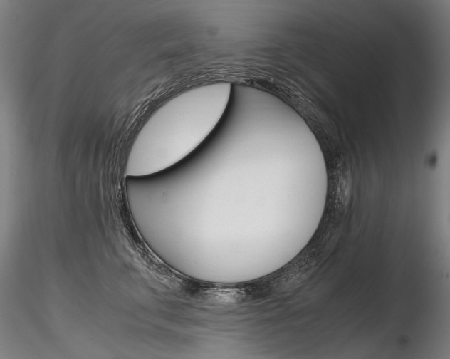 X0000116800711200912181118