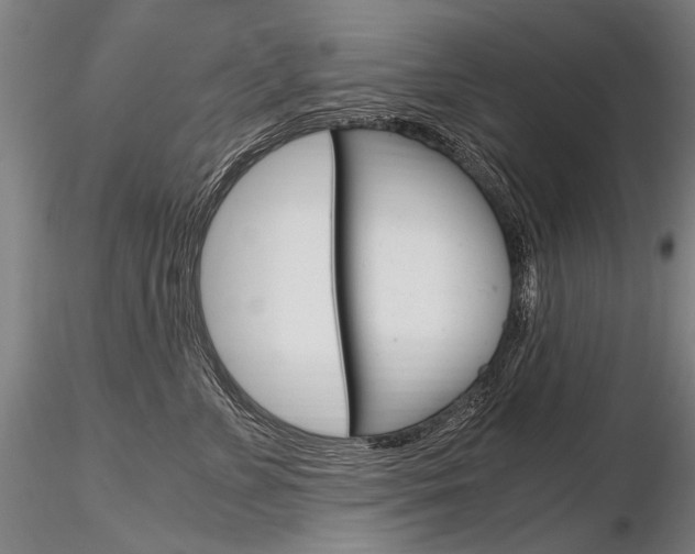 X0000116800715200912181118