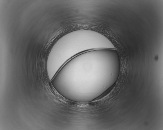 X0000116800716200912181118