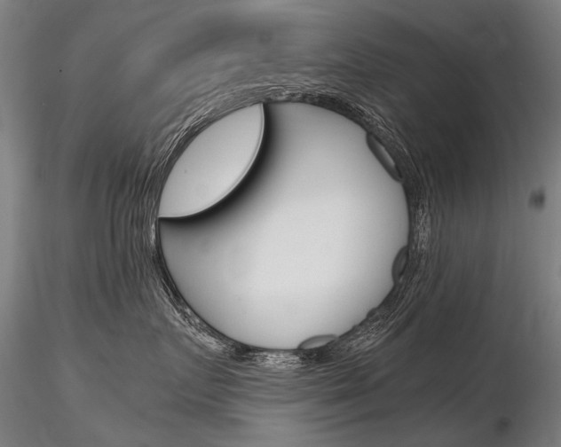 X0000116800719200912181117