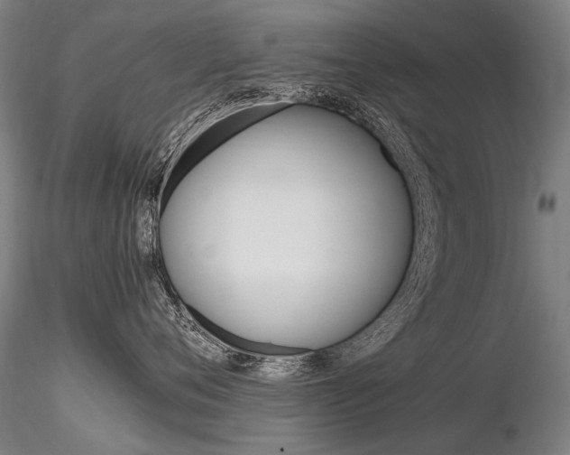 X0000116800720200912181117