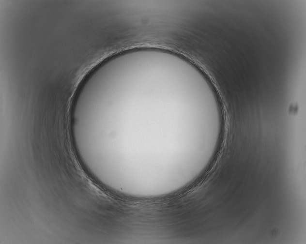 X0000116800721200912181117