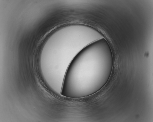 X0000116800722200912181117