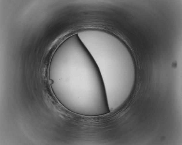 X0000116800723200912181117