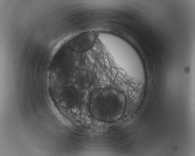 X0000116800725200912181117