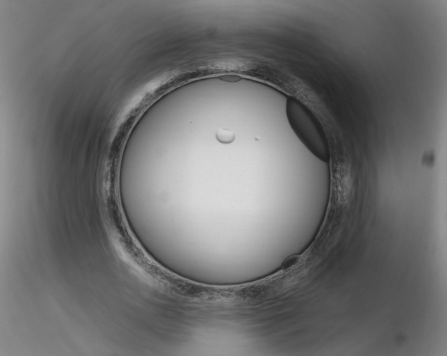 X0000116800726200912181117