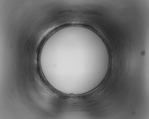 X0000116800727200912181117