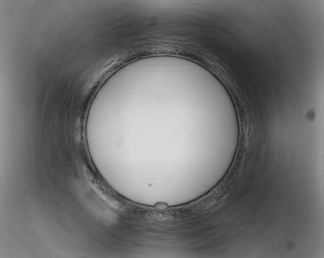 X0000116800729200912181117