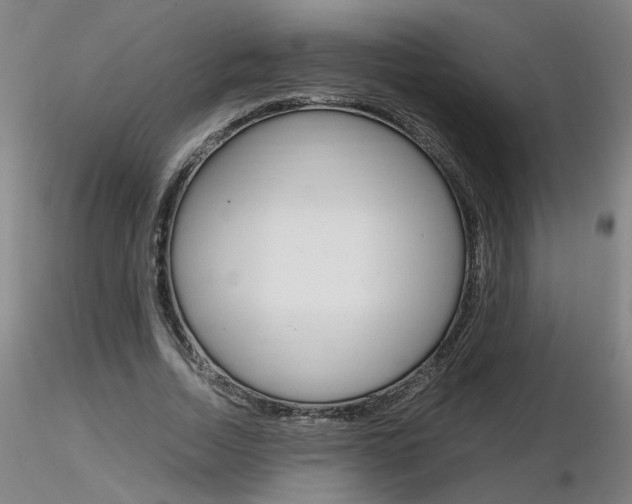 X0000116800730200912181117