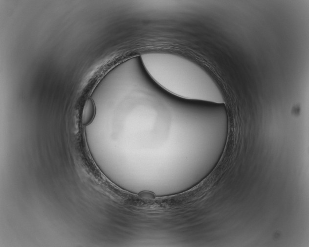 X0000116800731200912181117