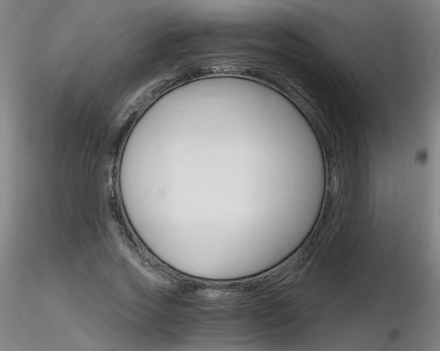 X0000116800733200912181117