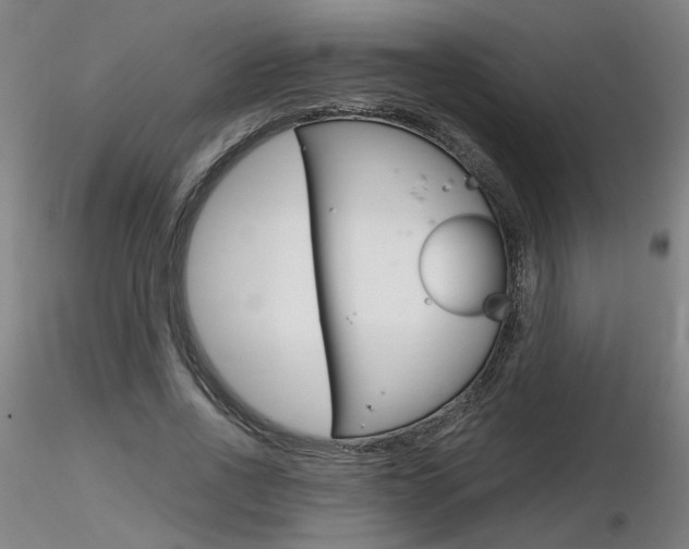 X0000116800734200912181117