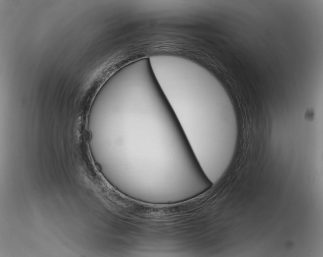 X0000116800735200912181117