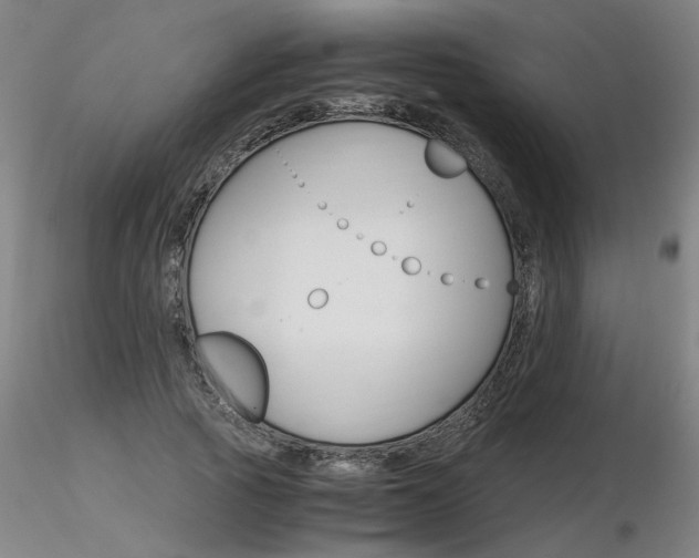X0000116800737200912181117