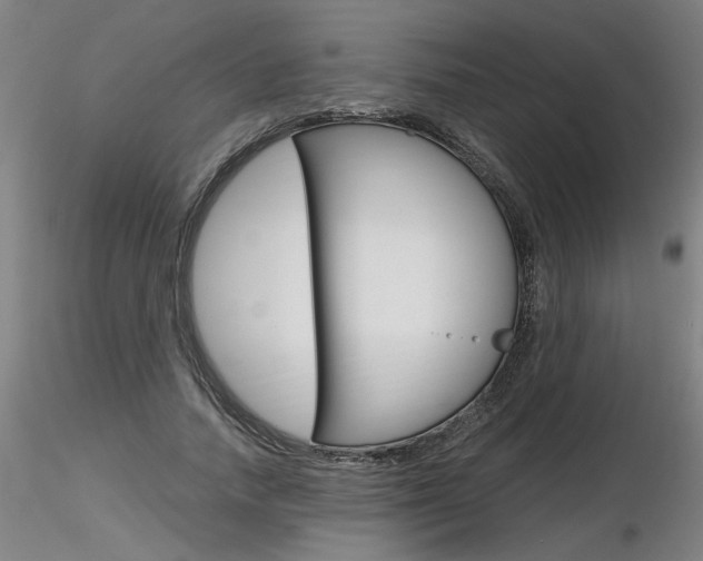 X0000116800738200912181117
