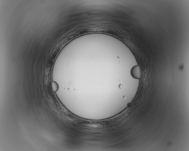 X0000116800741200912181117