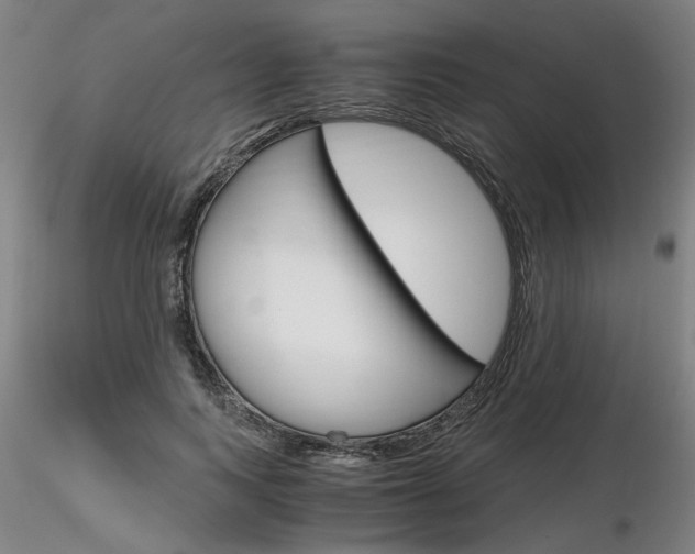 X0000116800743200912181117
