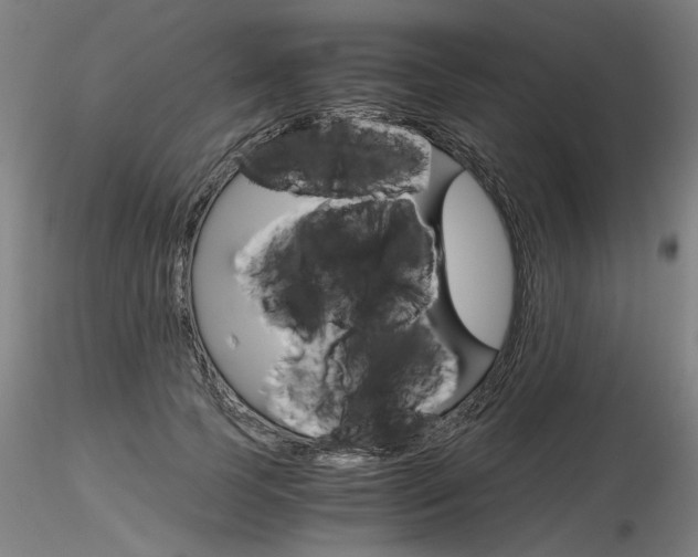 X0000116800745200912181117