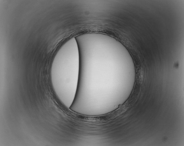 X0000116800746200912181117