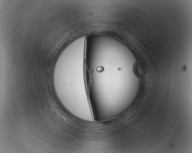 X0000116800750200912181117