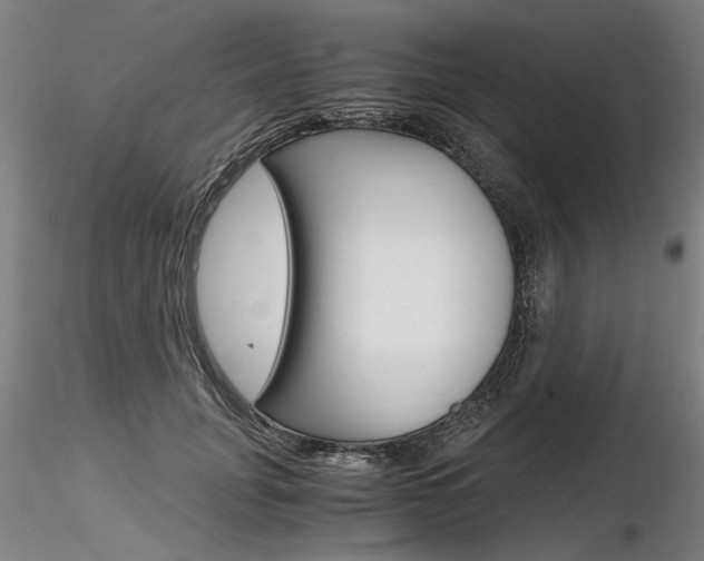 X0000116800751200912181117