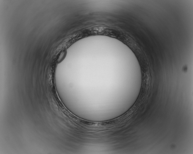 X0000116800754200912181117