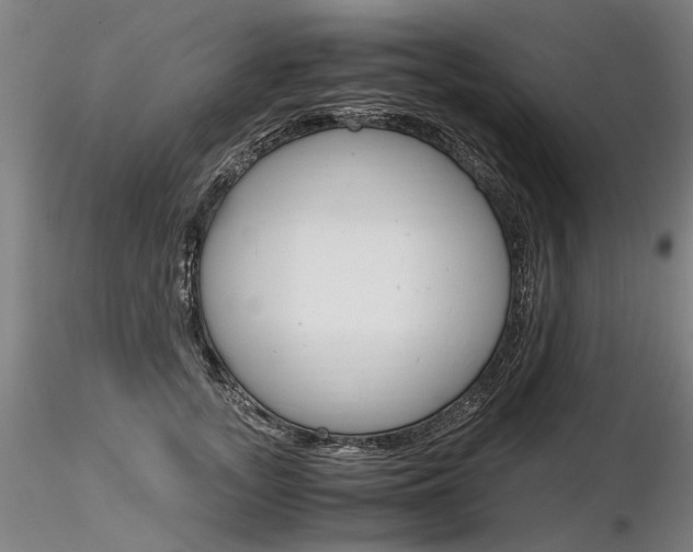 X0000116800755200912181117