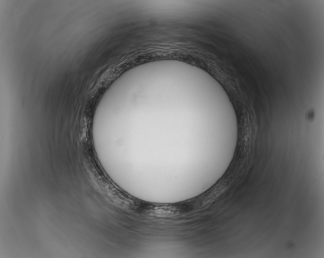 X0000116800758200912181117