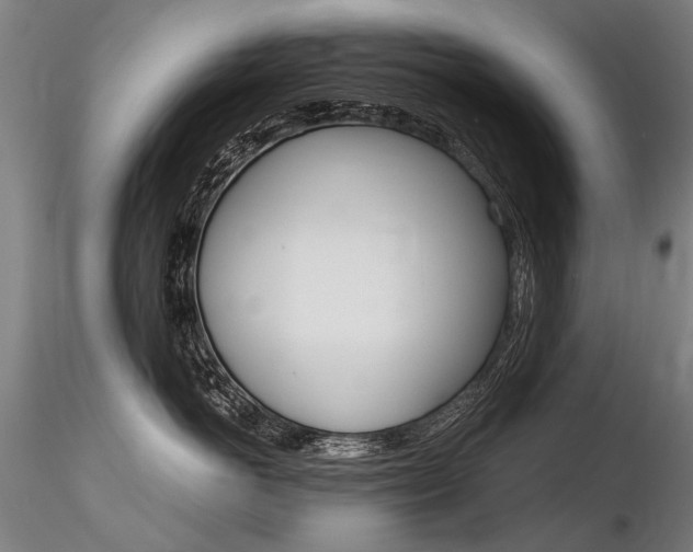 X0000116800766200912181117