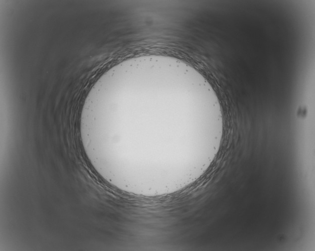 X0000116800769200912181117