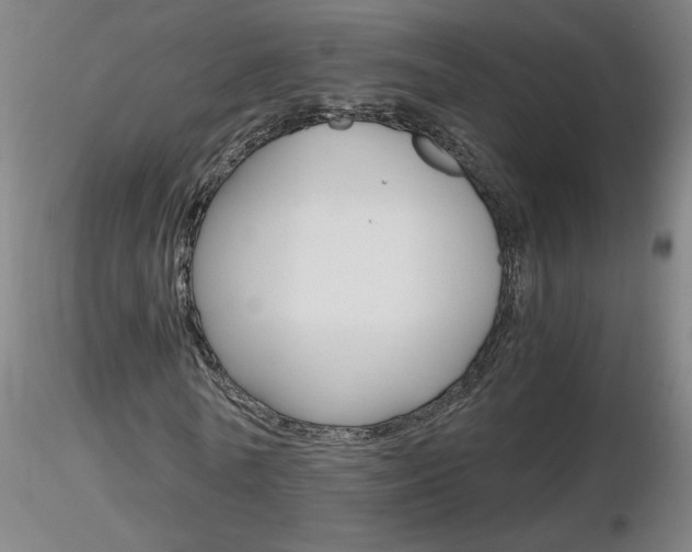 X0000116800770200912181117
