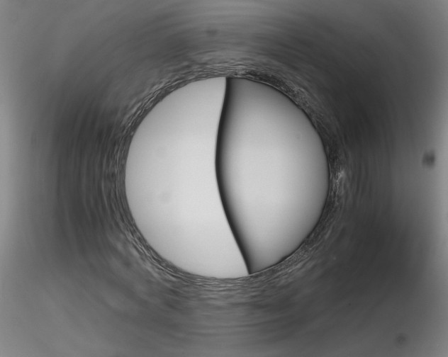 X0000116800772200912181117