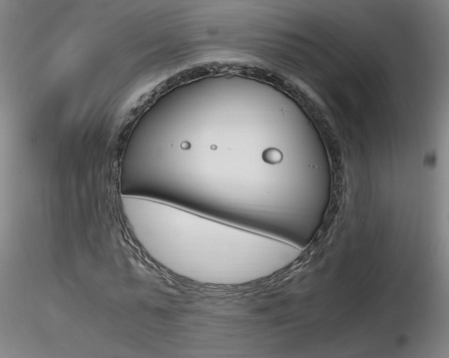 X0000116800775200912181117