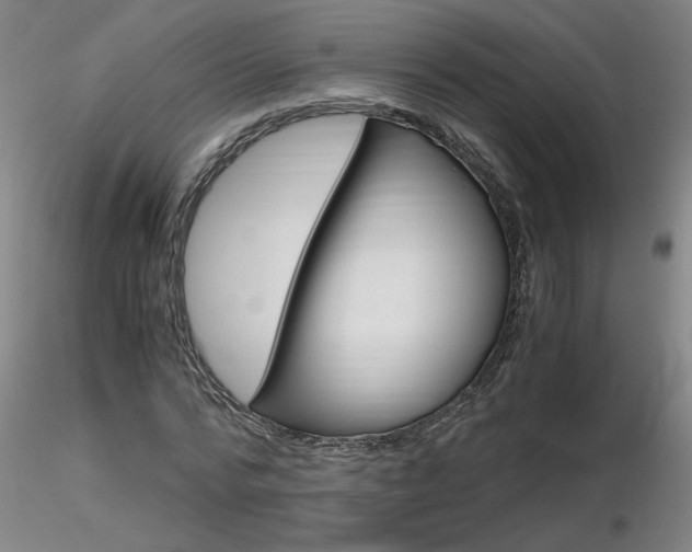 X0000116800776200912181117